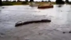 ጎርፍ