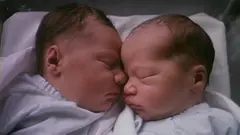 bebe