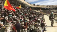 Miseensoota loltoota Naannoo Tigray