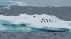 antarctica