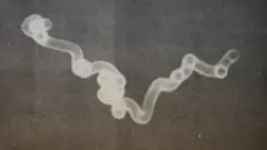 Evento, chamado de 'um dos mais importantes casos de ufologia mundial e com o maior número de testemunhas em todo o planeta', continua despertando curiosidade.