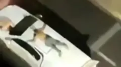 @yurimacri