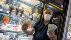 Dolar