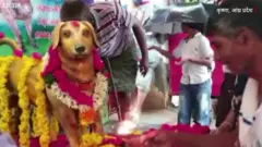 कुत्ते की मूर्ति