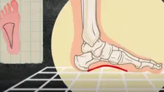 বিবর্তন