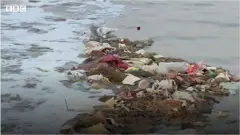 Ганг дарыясы
