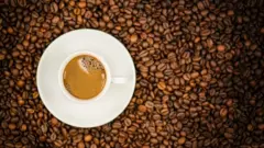 kopi