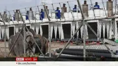 ကျောက်ဖြူက ဓာတ်အားပေးစက်ရုံတွေ ရပ်နား