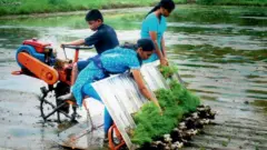 இ.வாடகைத் திட்டம்