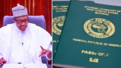 Travel visa: [Visa free countries] Nigerians fit travel to