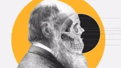 نظرية التطور: كيف توصل إليها داروين؟