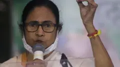 ममता