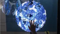 डेङ्गी भाइरसको चित्र