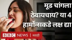हार्मोन्स