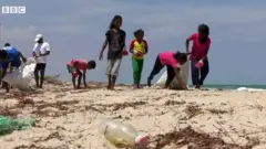 மாணவர்கள்