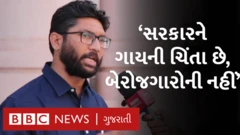 જિજ્ઞેશ મેવાણી