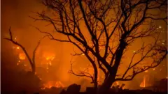 অগ্নিকাণ্ড।