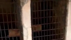 ህፃኑ የተቆለፈበት የውሻ ቤት