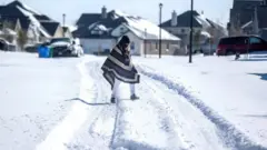 A Texan wearing a poncho in the snow