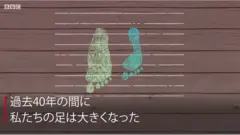 私たちの足は大きくなっている　なぜなのか