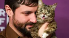 Lil Bub