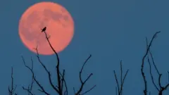 చంద్ర గ్రహణం