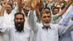 निदर्शक