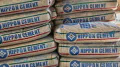 Cement bags 2017