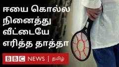 பிரான்சில் ஈயை கொல்வதற்காக வீட்டையே எரித்த தாத்தா