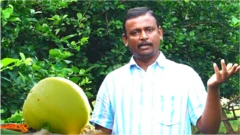 lemon farmer