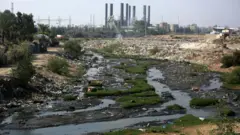 غزة