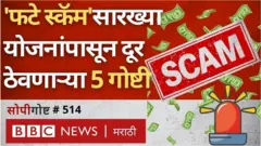 आर्थिक फसवणूक, गुन्हे