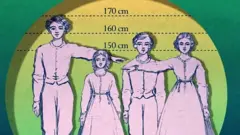 Image montrant la croissance au fil des ans