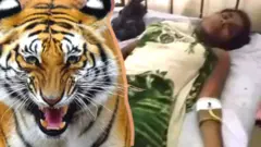 માતા