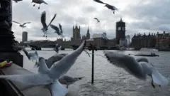 பிரிட்டன்