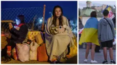 колаж