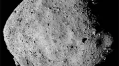 Asterooyidoonni qaamolee dhagaa xixiqqoo aduu naanna'anidha