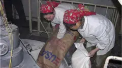 북한의 경제난 및 식량난이 극심한 것으로 전해졌다. 코로나 의심 환자가 하루 10명대로 급감했다고 주장하지만 반대로 아사자가 발생나고 있다는 지적이 나온다