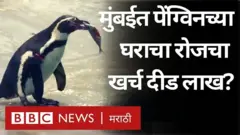 Penguin