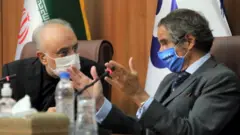 این بیانیه از سوی علی اکبر صالحی، رئیس سازمان انرژی اتمی و معاون رئیس جمهوری ایران و رافائل گروسی، مدیرکل آژانس بین المللی انرژی اتمی صادر شده است.
