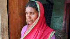 वाघ, वन्यजीव, पर्यावरण, निसर्ग, आक्रमण