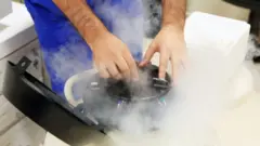 Freezing eggs for storage