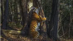 সার্গেই গর্শকফের পুরষ্কার জেতা ছবিটির শিরোনাম: আলিঙ্গন