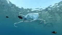 Маска в море