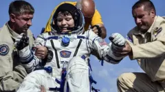 ஆனே மெக்லேன்