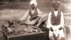 నులక మంచాలపై చీతాలు