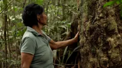 Isabel Castro frente a un arbol de caucho que tiene cicatrices en su tronco