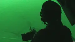SAS