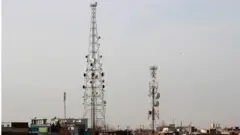 شبکه