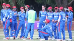 کرېکټ
